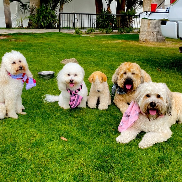 Offers & Bundles - Picture 9 of 9